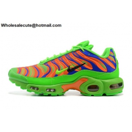 Mens Nike Air Max Plus Double Swooshes Green Orange Blue