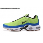 Mens Nike Air Max Plus M. Frank Rudy