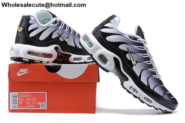 Nike Air Max Plus DH4776-100