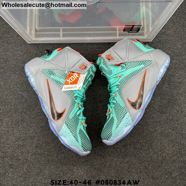 Nike Lebron 12 NSRL