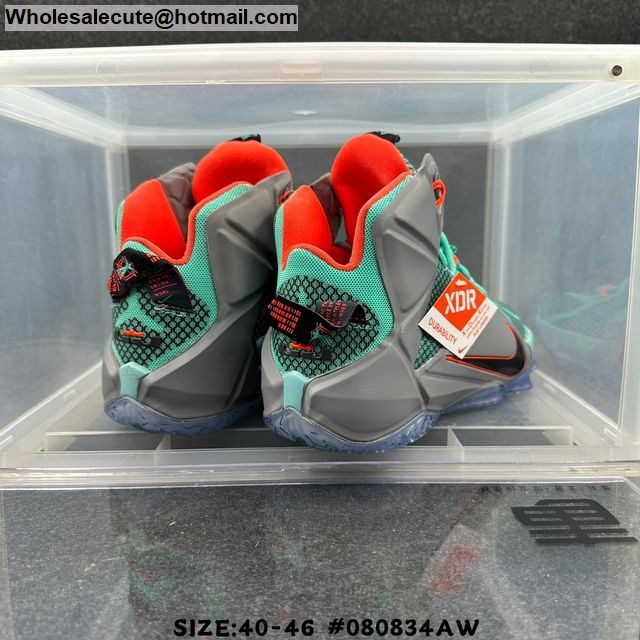 lebron 12 nsrl